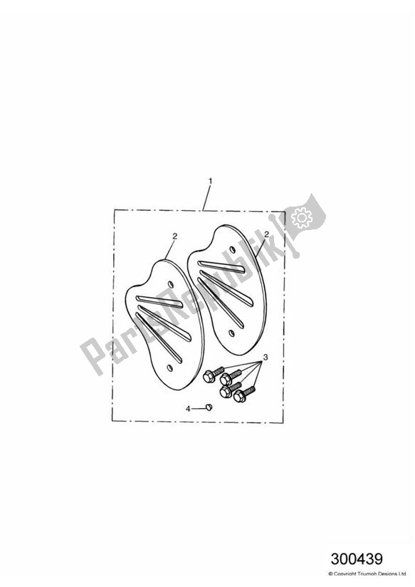 All parts for the Finisher Type B, Single Seat of the Triumph America Carburettor 790 2002 - 2007